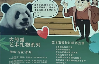 看“果赖”！熊猫“花花”来这儿了！
