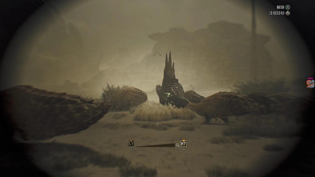 《怪物猎人 荒野》评测:维度的拓展,与迭代必经的阵痛 《怪物猎人 荒野》评测:维度的拓展,与迭代必经的阵痛