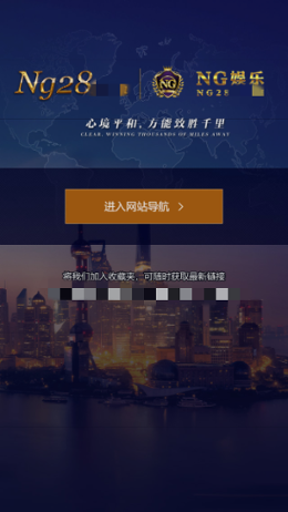 ng28.66 ng28.66